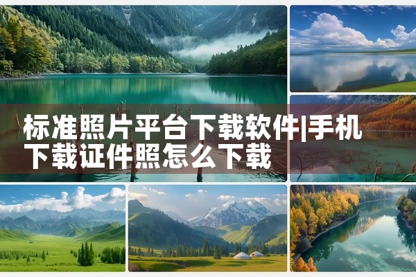 标准照片平台下载软件