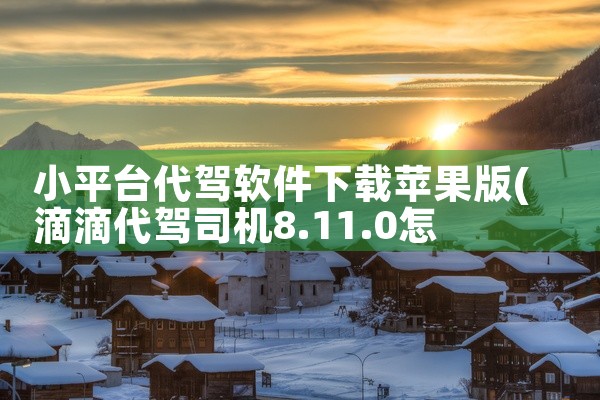 小平台代驾软件下载苹果版