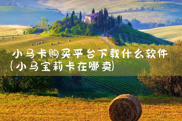 物资投标平台官网下载什么软件