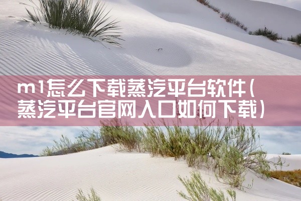 m1怎么下载蒸汽平台软件