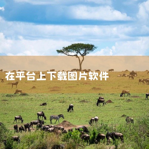 有不少专门用于下载素材的APP，以下为你介绍一些常见的：一、图虫1. 丰富的图片素材：拥有海量高质量摄影作品、创意插画、设计素材等。无论是专业摄影师寻找灵感，还是设计师用于项目配图，都能在这里找到合适|