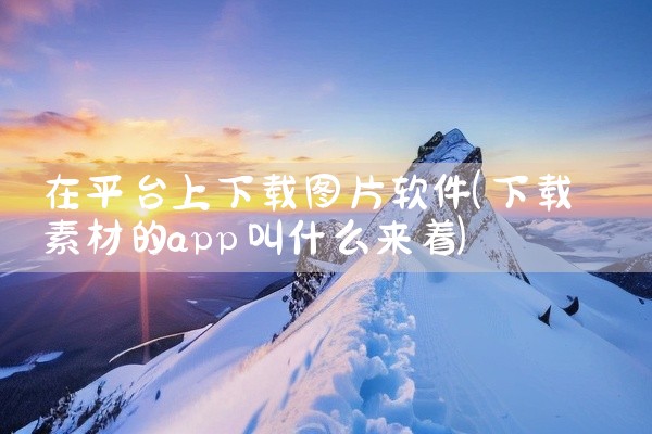 在平台上下载图片软件