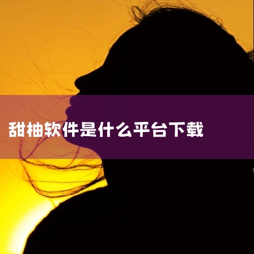 腾讯视频：作为知名的视频播放平台，腾讯视频也支持动漫的离线下载。用户可以在腾讯视频APP中找到自己喜欢的动漫，并通过下载功能将其保存到本地，实现离线观看。三号动漫、梦绘界漫画、笔趣阁漫画、Lanerc|