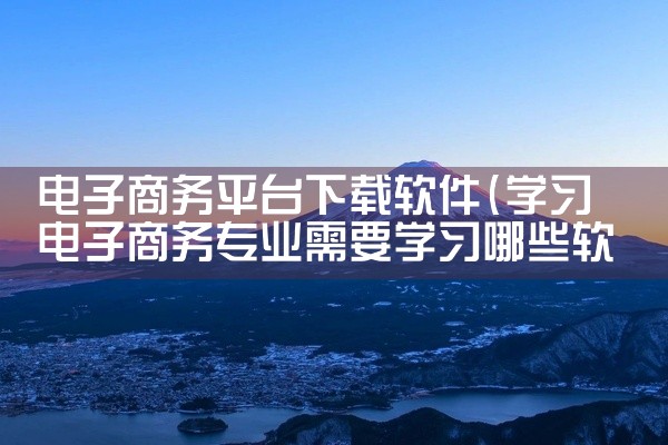 电子商务平台下载软件