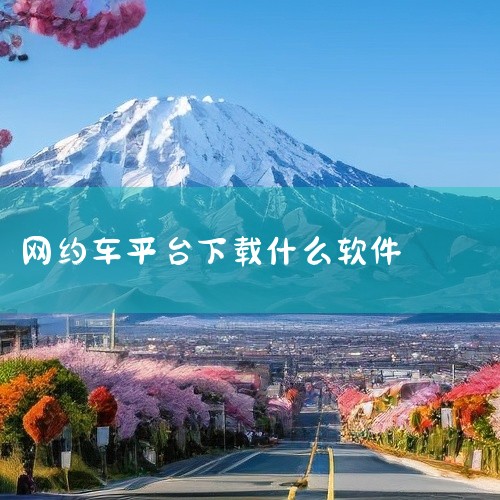 高德打车：作为聚合打车平台，高德打车整合了多家网约车服务商，用户无需切换App即可比较不同平台的价格和车型，选择最优方案。其覆盖范围广，适合对价格敏感或需要灵活选择的用户。美团打车：依托美团生态，美团,
