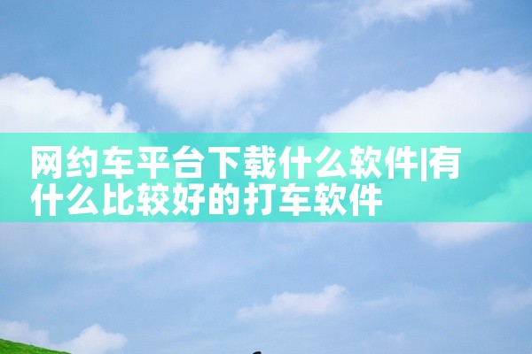 网约车平台下载什么软件