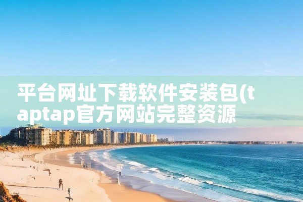 平台网址下载软件安装包