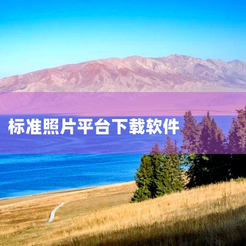 手机下载证件照怎么下载,一寸照片生成器免费版软件下载链接在哪里?,免费的证件照app有哪些-可以换底色的证件照软件推荐,
