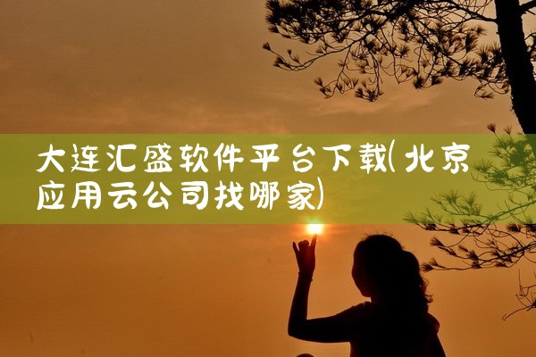 大连汇盛软件平台下载