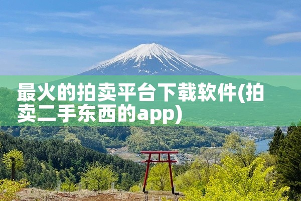 最火的拍卖平台下载软件