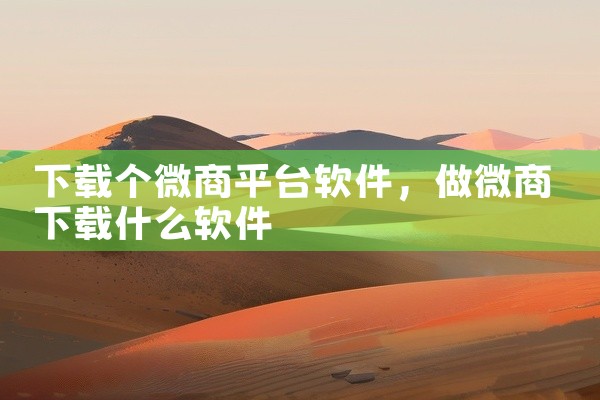 下载个微商平台软件