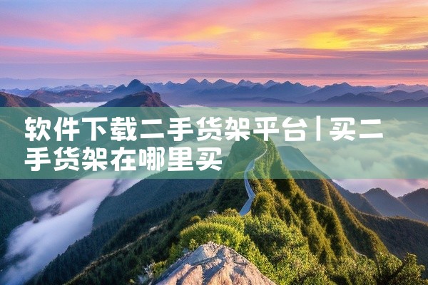 软件下载二手货架平台