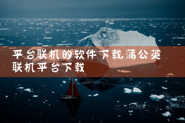 平台联机的软件下载